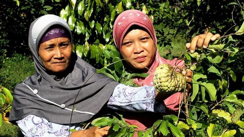 定制加工：量身定制的解决方案
